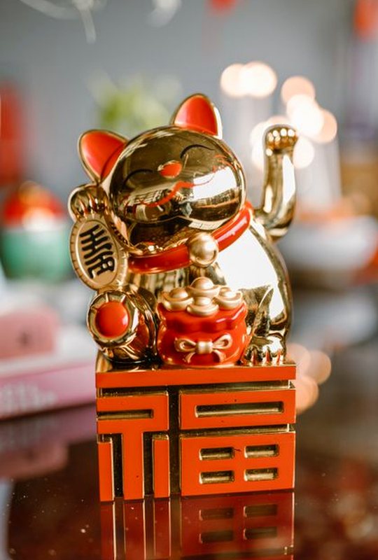 giấy phép 8Day