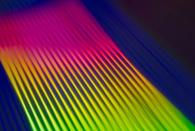 giấy phép 8Day