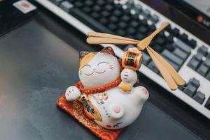 giấy phép 8Day